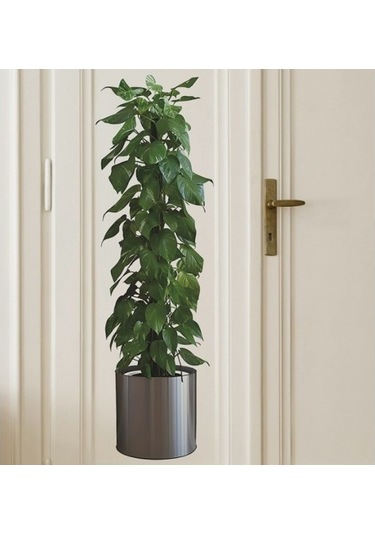 Saksılı Bitki Tasarımlı Yapışkanlı Sticker Resim 90 30 Cm 5570 Şeffaf