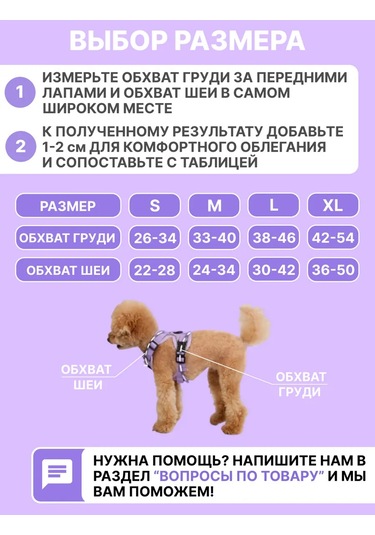 Tori Küçük Ve Orta Irklar İçin Tasmalı Köpek Kayışı Ve Kedi Şeridi 481276812