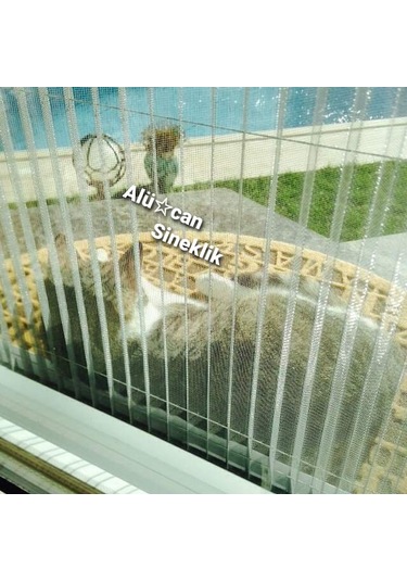 Pileli Sürgülü Katlanır Kapı Sineklik, Çift açılım