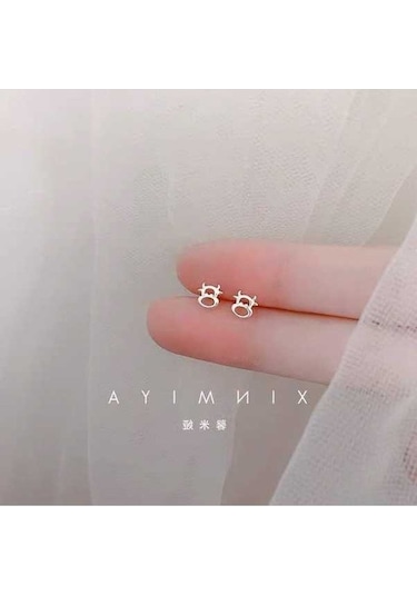 Flybuy 1000 Ayar Gümüş Saplama Küpe, 76 Küçük Boy, Kadınlar İçin, Köpüklü Tasarım Gümüş