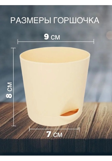 Interm Menekşe Fideleri İçin Tabaklı Çiçek Saksıları 5'li S 105636636