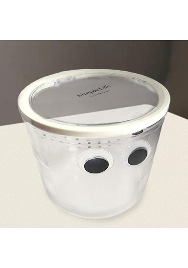 Suntek Saç Aksesuarları Saklama Kutusu 16,5cmx14cm