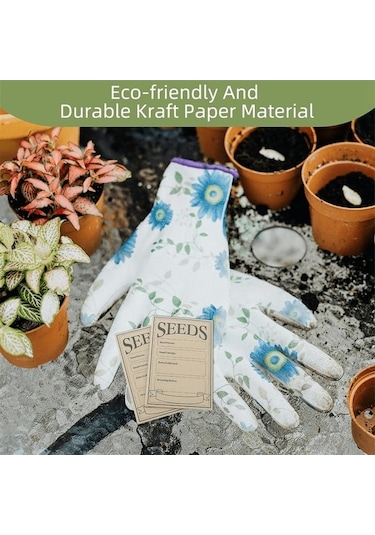 Pazly 100 Adet 8x12 Cm Kraft Kağıt Tohum Depolama Zarfı, Kendinden Kapatan, Dört Bölmeli Etiketli, Çok Amaçlı