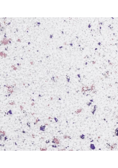 Ipek Sıva (111826908)