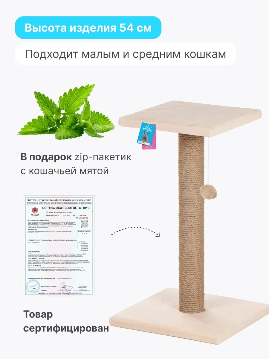 Rıch Breed Kedi Tırmalama Direği Masası Zeminli Dinlenme Yatağı 37112783