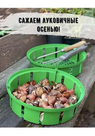 Botanikum Soğanlı Bitkiler İçin Sepet, Kelebek Yetiştirme 324986762