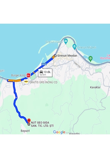 Nut Geo Çiğ İç Fındık Vakumlu 250 G