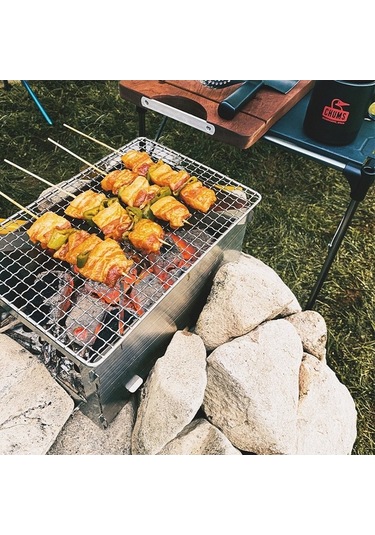 Tongxida Stainless Steel Çıkabilir Kamp Mangalı, Hafif Taşınabilir, 3-5 Kişilik, Kolay Temizlenebilen, Outdoor Piknik İçin Ağı Çok Renkli