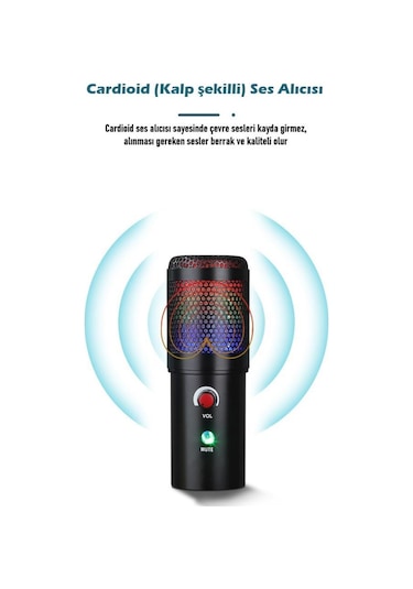 WellSound A6S-B Profesyonel Işıklı Mikrofon Seti