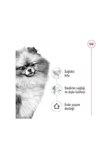 Royal Canin Mini Indoor Yetişkin Köpek Maması 1500 G