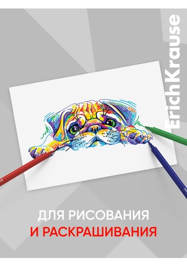 Erichkrause Magic Pet 12 Renkli Keçeli Kalemler 271234351