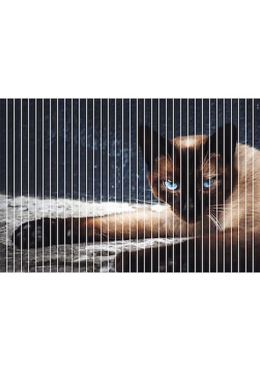 Baskılı Perde Dikey Perde Kumaş Stor Perde Kedi