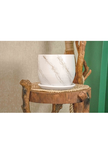 Bitki Tasarımı Beyaz Üzeri Gold Tabaklı Terracota Toprak Saksı Saksılık Salon Çiçeklik 19 Cm