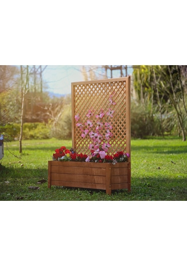 Mandu Ahşap Sarmaşık Saksı