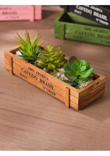 Denezo "ann" Ahşap Saksı, Sukulentler Ve Kaktüsler İçin 376269993