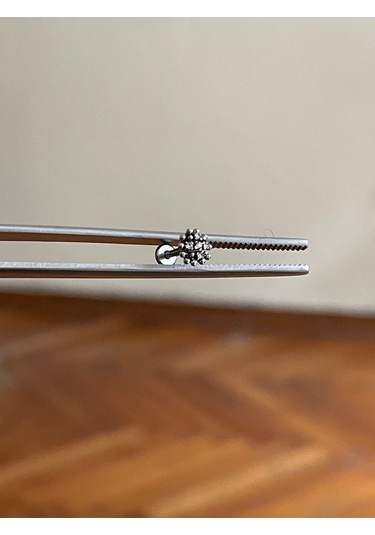 316 L Cerrahi Çelik Dudak Piercing Kıkırdak Helix Tragus Conch Zirkon Taşlı Kasımpatı Piercing Gümüş