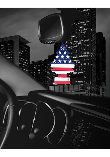 Oto Koku Little Trees Amerikan Bayrağı Koku Vanilla Pride 3 Adet