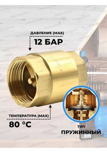 Thermofix 1" Pirinç Milli Geri Tepme Valfi 152782157