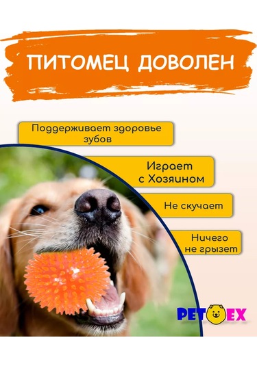 Pet-ex Köpekler İçin Dikenli Top 7 Cm 193092538