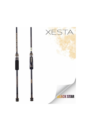 Black Star Extra Tuned S82mhx-s Kamış 2.50m 1-28g 2p 1