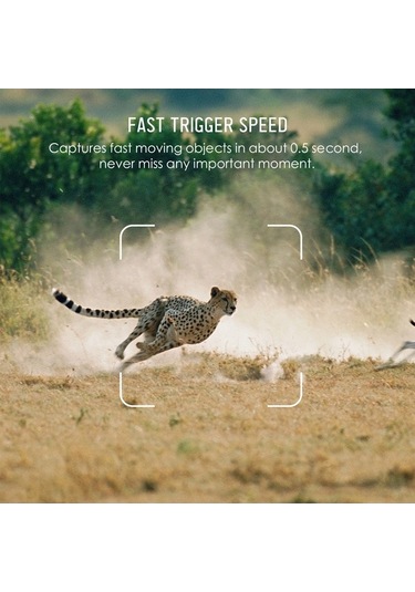 Dancemonkey Avcılık Kamerası Trail Kamera 16mp 4k Su Geçirmez Av Kamerası Gece Görüşlü Yaban Hayatı İzleme İçin Çok Renkli
