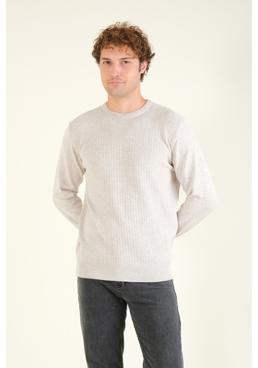 Giyim Dünyası Erkek Desenli Sıfır Yaka Kazak Taş 001