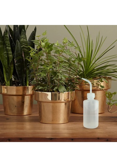 Qingmipy 250ml Şeffaf Ölçülü Uçlu Sulama Kuşağı - İç Mekan Bitkileri İçin Hassas Su Verme, Ev/ofis Kullanıma Uygun 3'lü Set