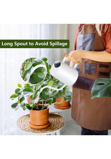 Geeroyoo Modern Paslanmaz Çelik 35oz Sulama Kabı, Uzun Ağızlı İç Mekan Bitkileri Ve Bonsai İçin Dekoratif Sulama Kabı - Beyaz