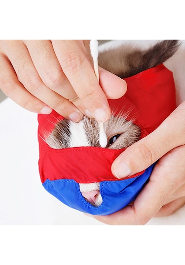 Homyl Çizilmeleri Ve Isırma Önleyici Pet Kedi