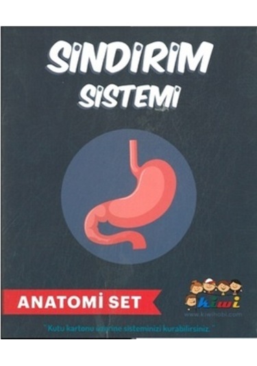 Misyon Kiwi Sindirim Sistemi Çalışması