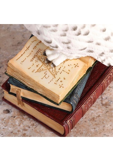 Kitap Üzerinde Beyaz Kar Baykuşu Hedwig Biblosu - Harry Potter