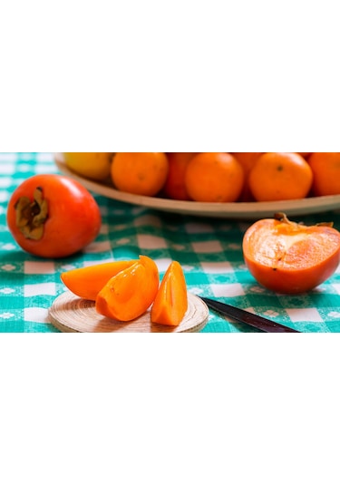 Hachiya Trabzon Hurması Fidanı Cennet Meyvesi 3 Yaş Tüplü Ve A