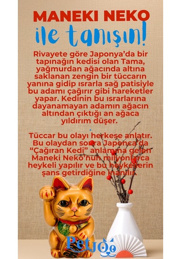 Petjoo 4.Maneki Neko Mavi-Kırmızı Qr'lı Kedi Künyesi