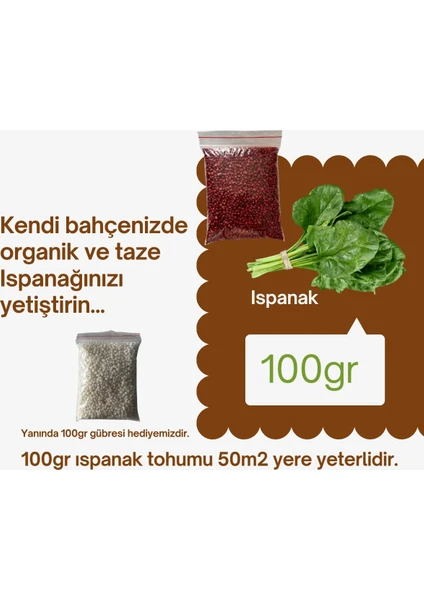 Ispanak Tohumu 100gr+100gr Gübre