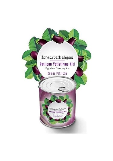 Buffer Konserve Bahçem Evde Konservede Kemer Patlıcanyetiştirme Kiti Mavi