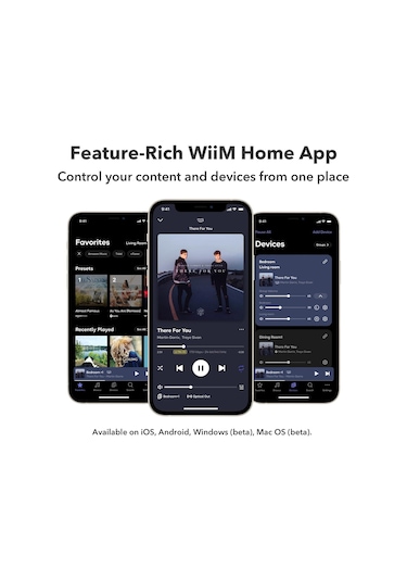 Wiim Pro Plus Network Streamer