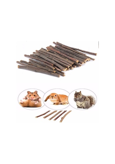 Kemirgenler İçin Elma Ağacı Dalı 25 Adet 15cm