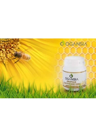 Ogansia Propolis 600Mgx60 Tablet