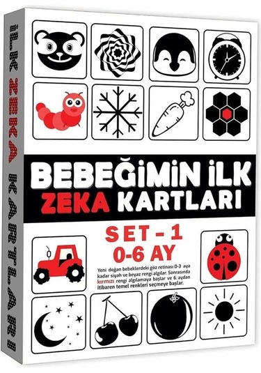 2199 Eğitici Kartlar 0-6 Ay Zeka Kartları