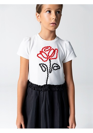 Sheshe Gül Desenli Örme Üst Tafta Etek Elbise Renkli