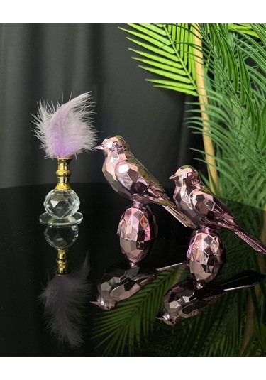 Meadow Gold Dekoratif Kuş Ve Tüylük Seti Pembe