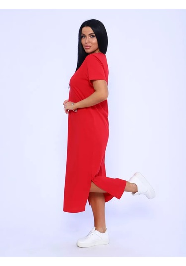 Taisia Kadın Elbise Büyük Beden 193038667