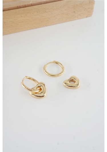 Kadın Vip Seri 316 L Çelik Antialerjik 2.5 Cm Yıldız Model Küpe-5194 Altın