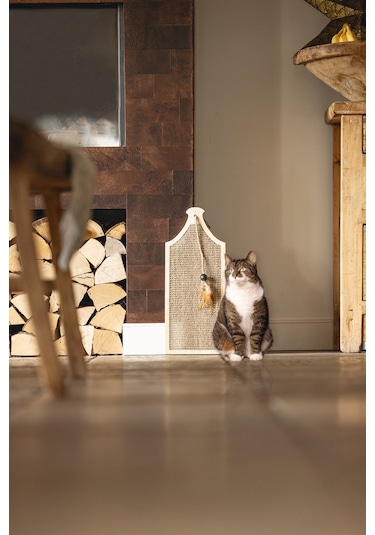 Beeztees Dbl Kedi Tırmalama Tahtası Ve Oyuncağı, 50x20x2cm