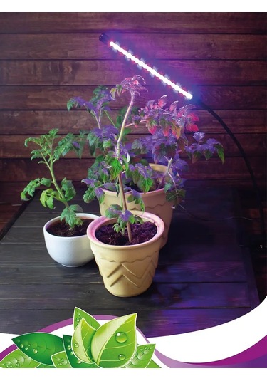 Garden Show Bitkiler İçin Uzaktan Kumandalı Mandallı Lamba 10 W 124973383 Siyah