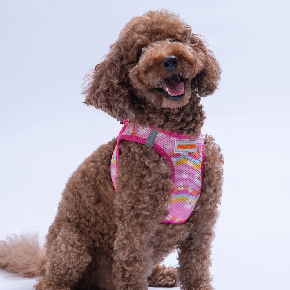 Daisy Airmesh Kedi Köpek Göğüs Tasması L Pembe