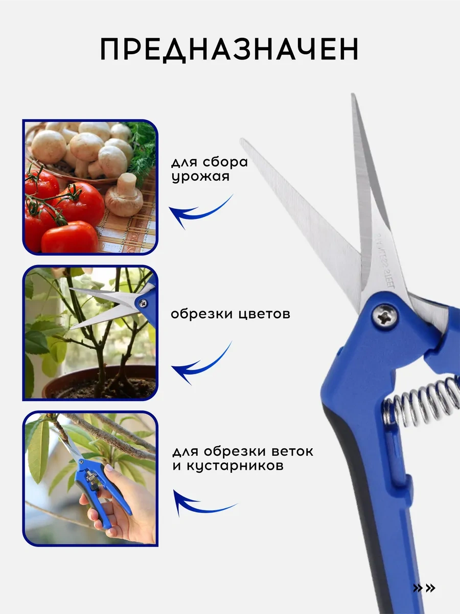 Vasvas Çalı Ve Çiçekler İçin Bahçe Makası 228752986