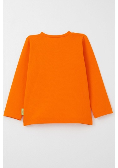 Breeze Kız Bebek Uzun Kollu Tişört Basic 9 Ay-3 Yaş, Turuncu Turuncu