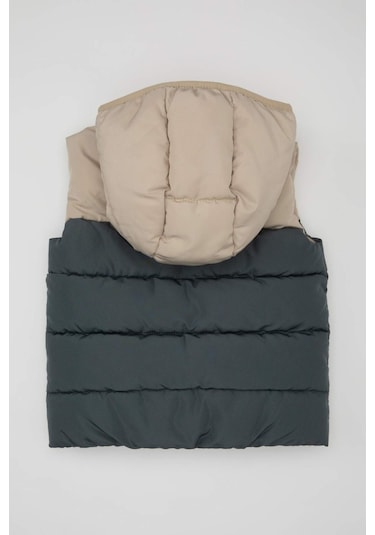 Defacto Erkek Bebek Su İtici Polar Astarlı Blok Renk Desenli Kapüşonlu Şişme Yelek A2848A524AUGR314 Gri Defacto Erkek Bebek Su İtici Polar Astarlı Blok Renk Desenli Kapüşonlu Şişme Yelek A2848A524AUGR314 Gri