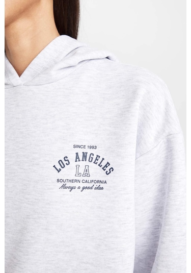 Defacto Regular Fit Kapüşonlu Baskılı Kalın Sweatshirt D6720AX24WNGR93 Gri